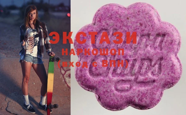 индика Надым