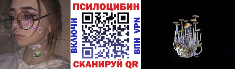 наркошоп  Новотитаровская  Псилоцибиновые грибы Magic Shrooms 